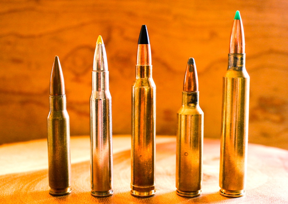 Best .300 Winchester Magnum Ammo For Deer Hunting - Ruger 10