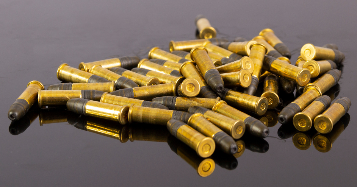 Best 22 LR Ammo For Ruger 10/22 Read Before You Buy Ruger 1022