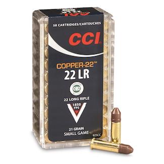 Best 22 LR Ammo For Ruger 10/22: Read Before You Buy - Ruger 1022