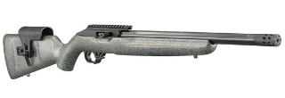 Ruger 10/22 Competition Rifle [Model 31120] 