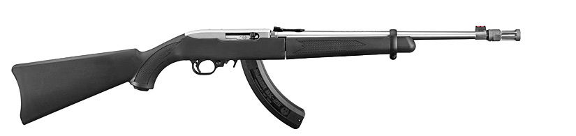 The Ruger 10/22 